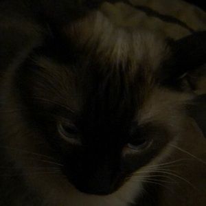 Meet your Posher, Stephen